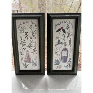 Botanical Art Prints Carol Robinson Spice & Herb Garden Wood Framed Vintage